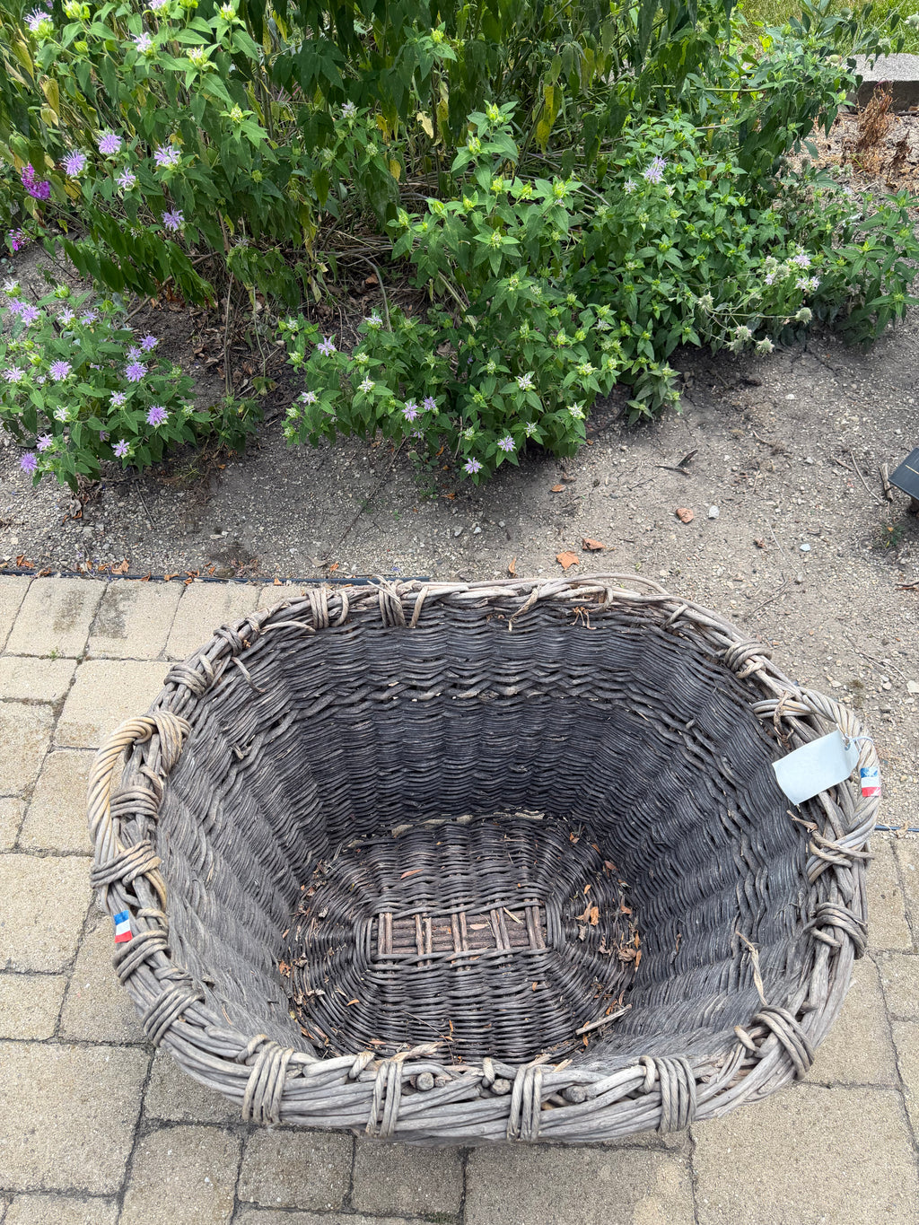French Champagne Harvest Basket