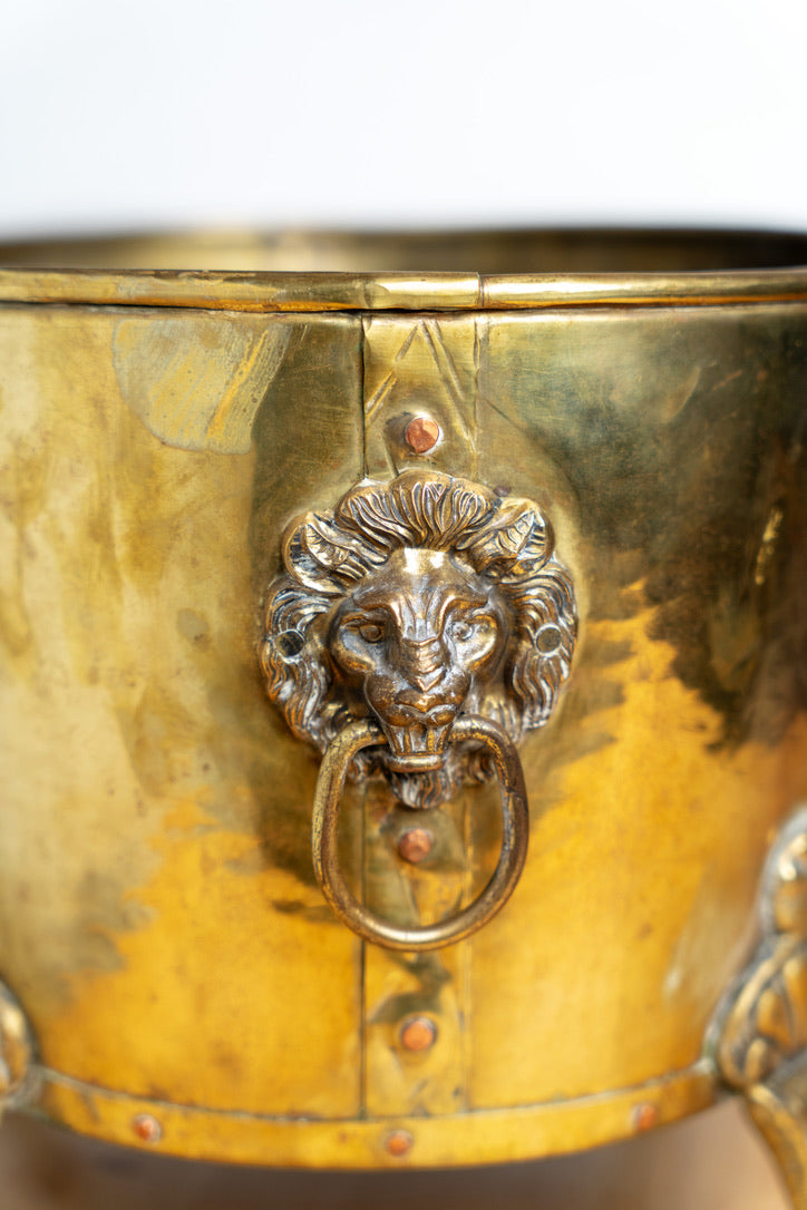 English Brass Footed Coal Bucket with Lion Heads