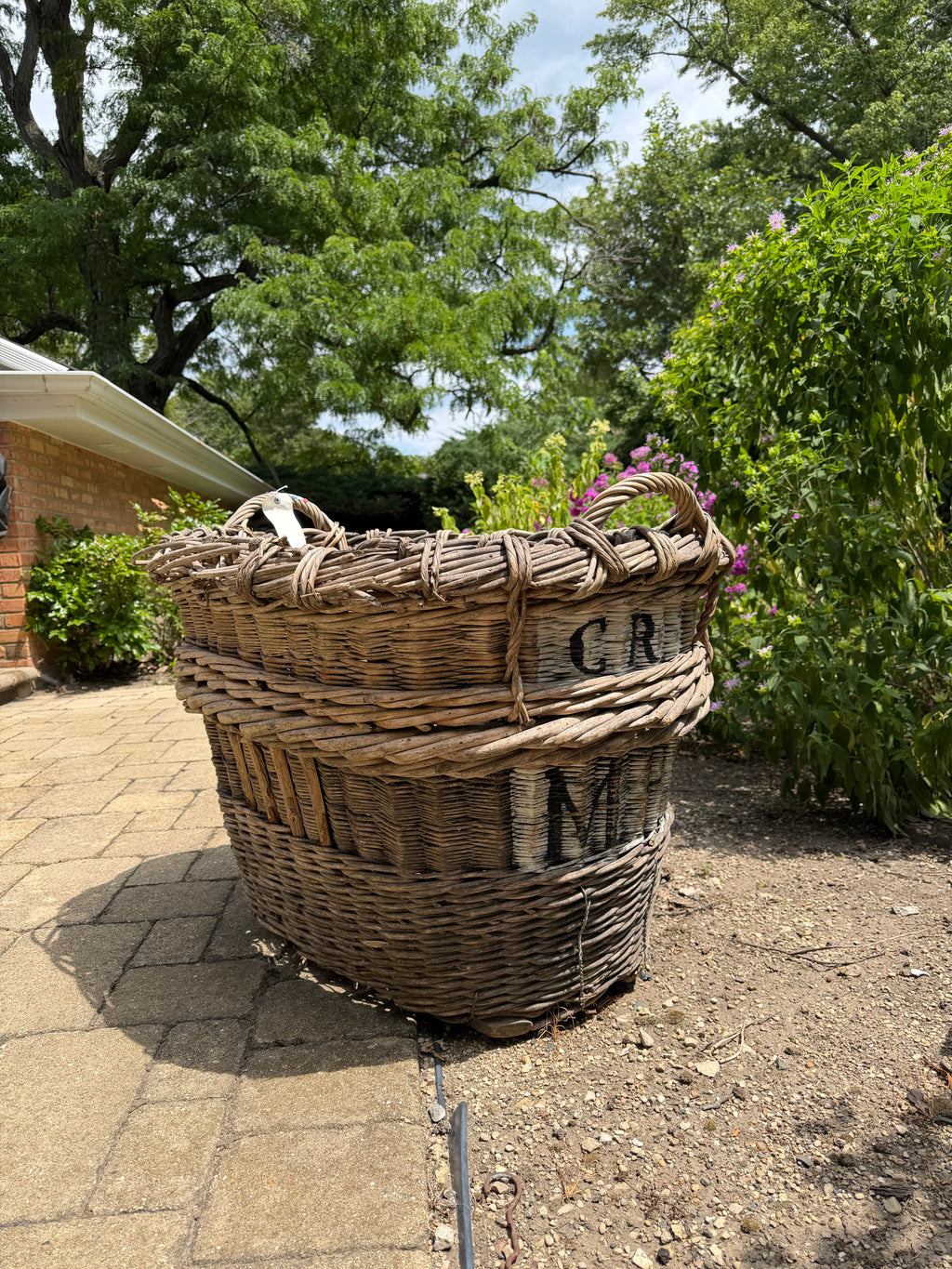 French Champagne Harvest Basket