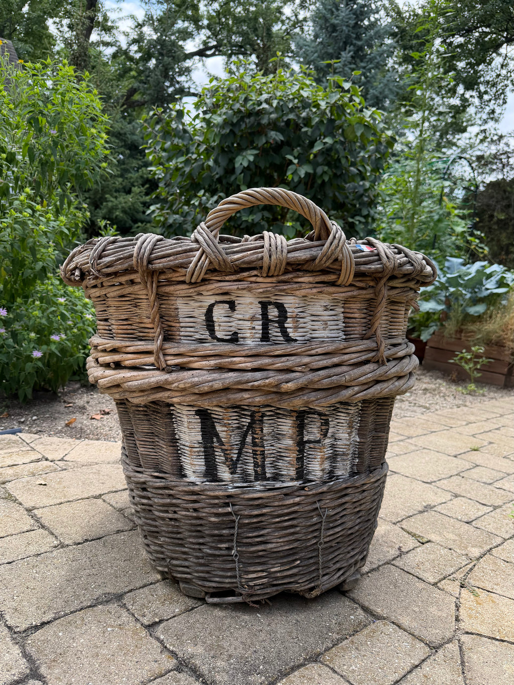 French Champagne Harvest Basket
