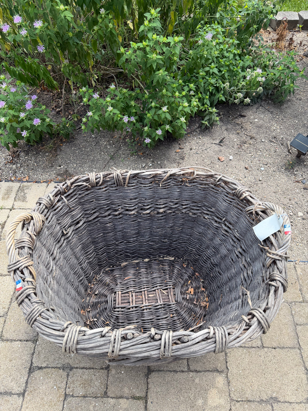 French Champagne Harvest Basket