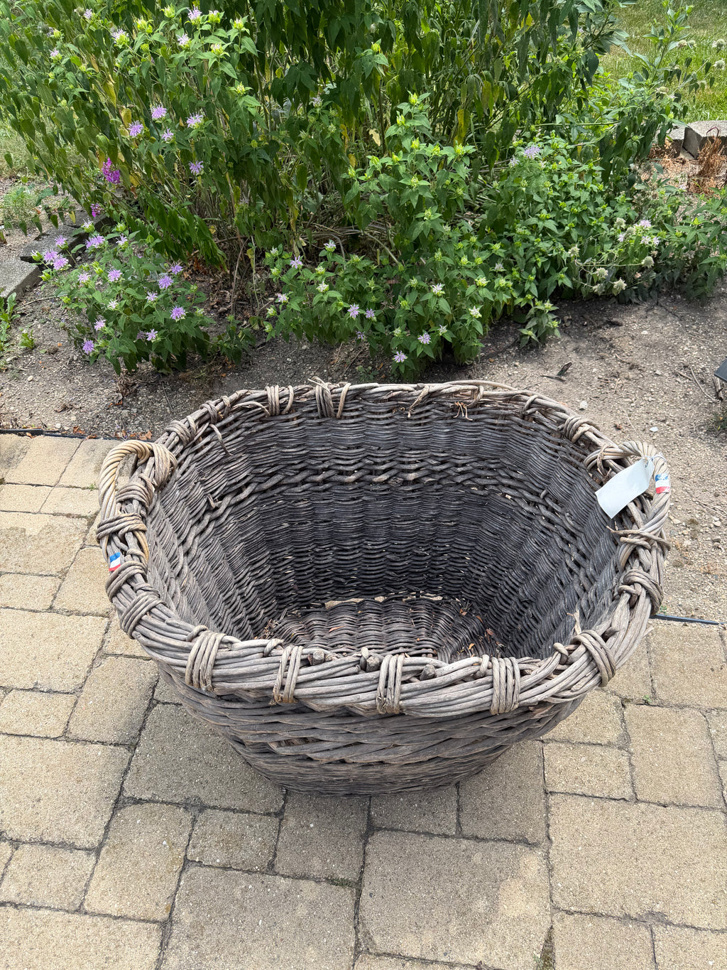 French Champagne Harvest Basket