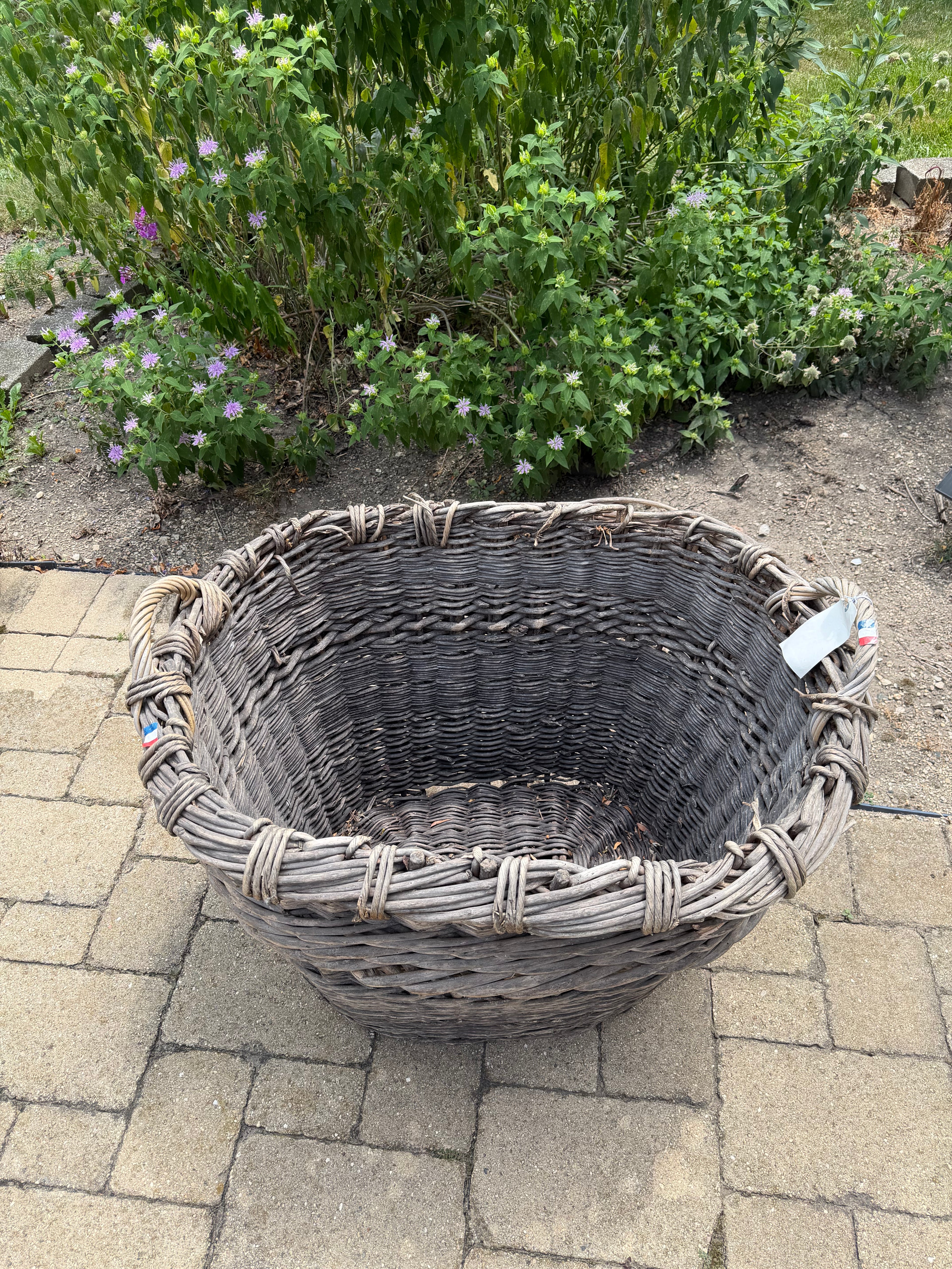 French Champagne Harvest Basket
