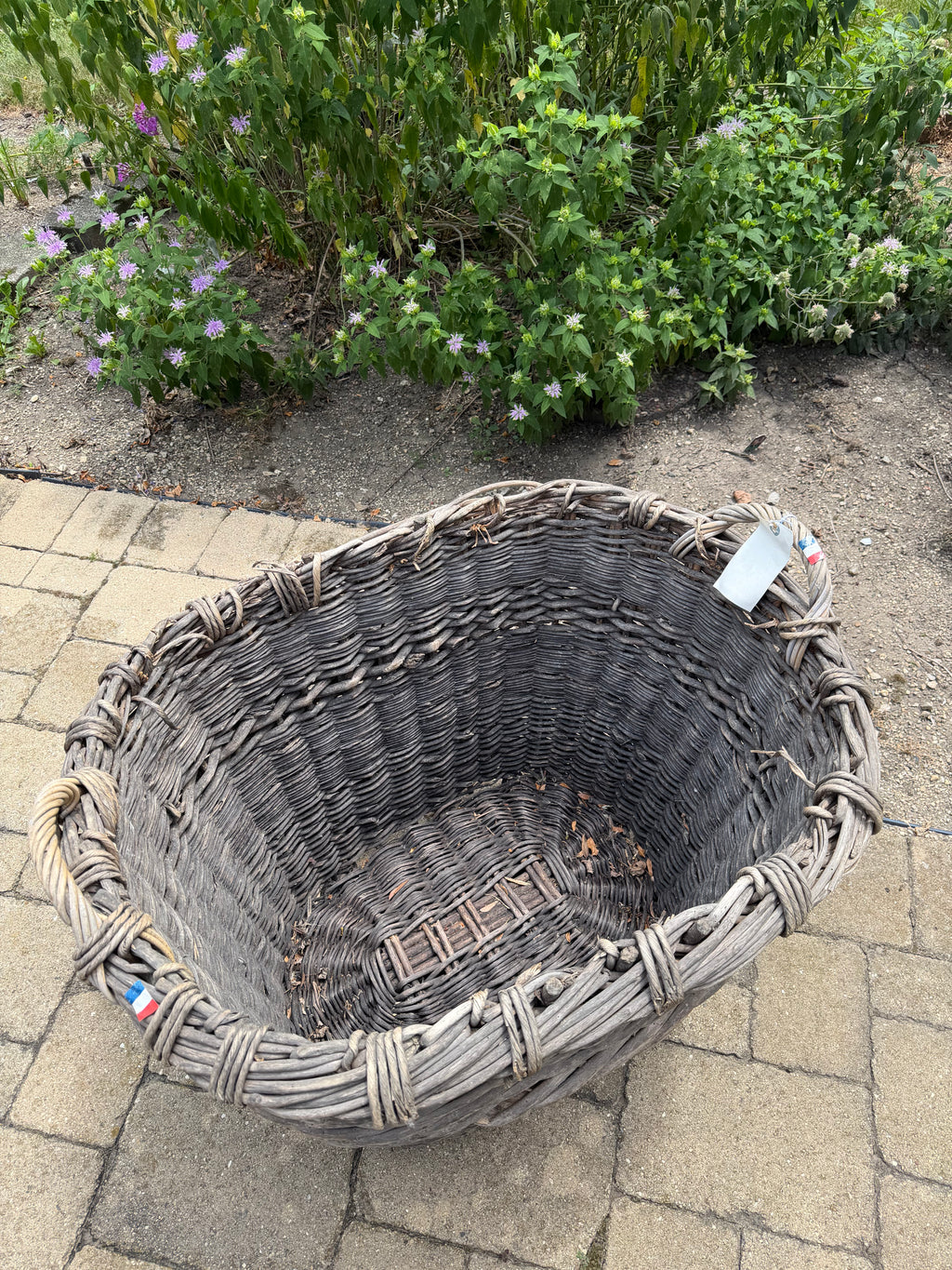 French Champagne Harvest Basket