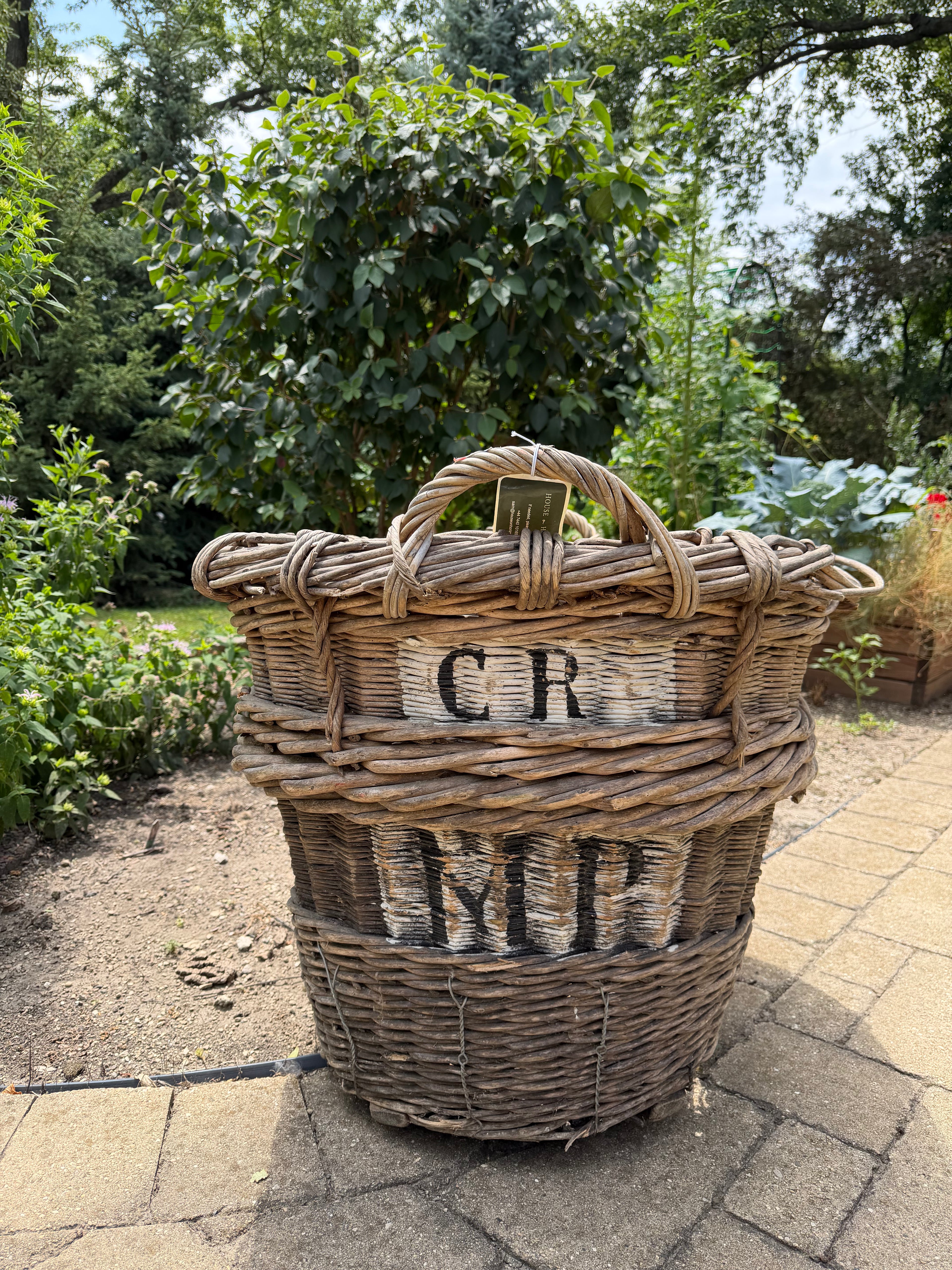 French Champagne Harvest Basket