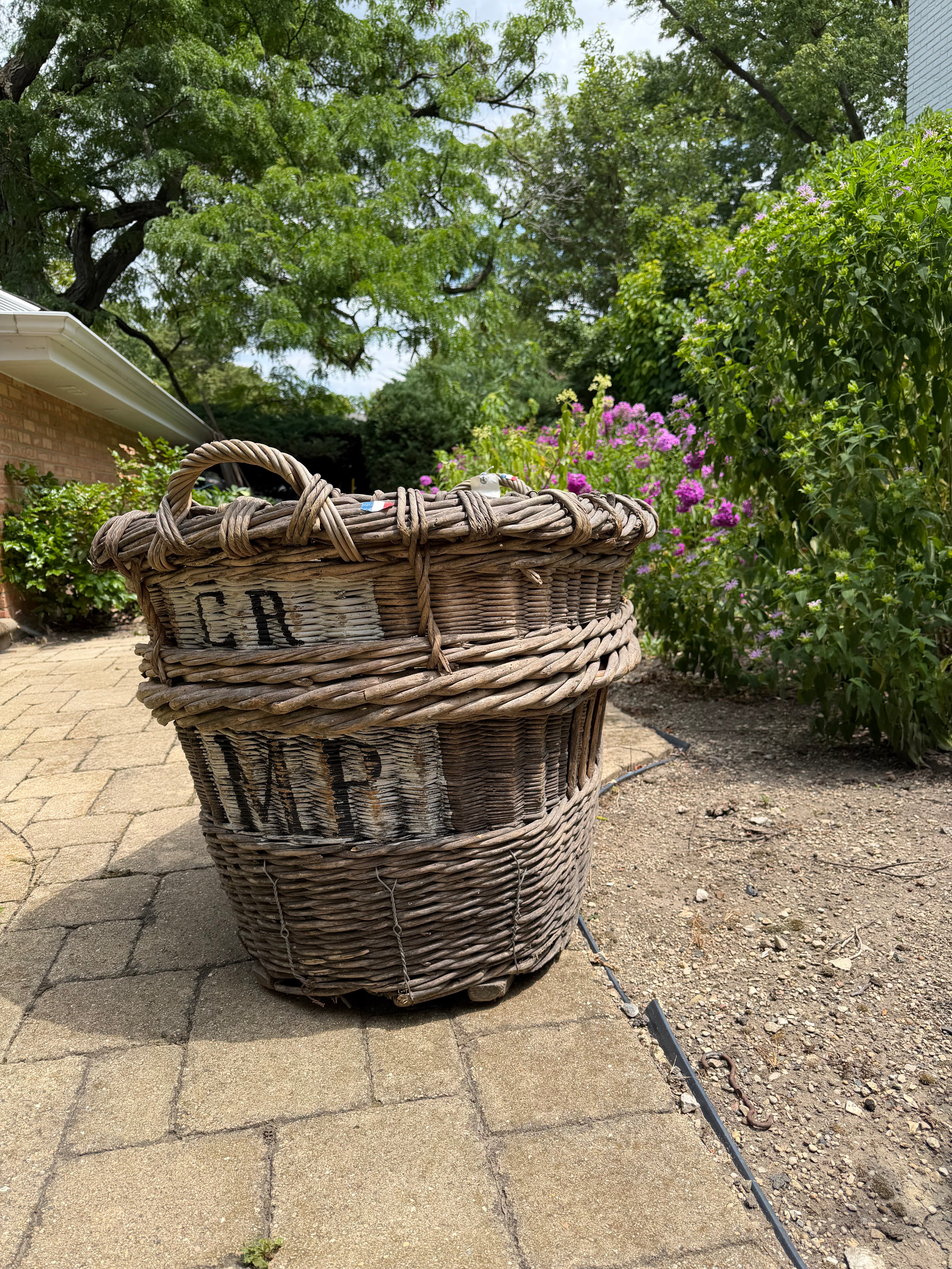 French Champagne Harvest Basket