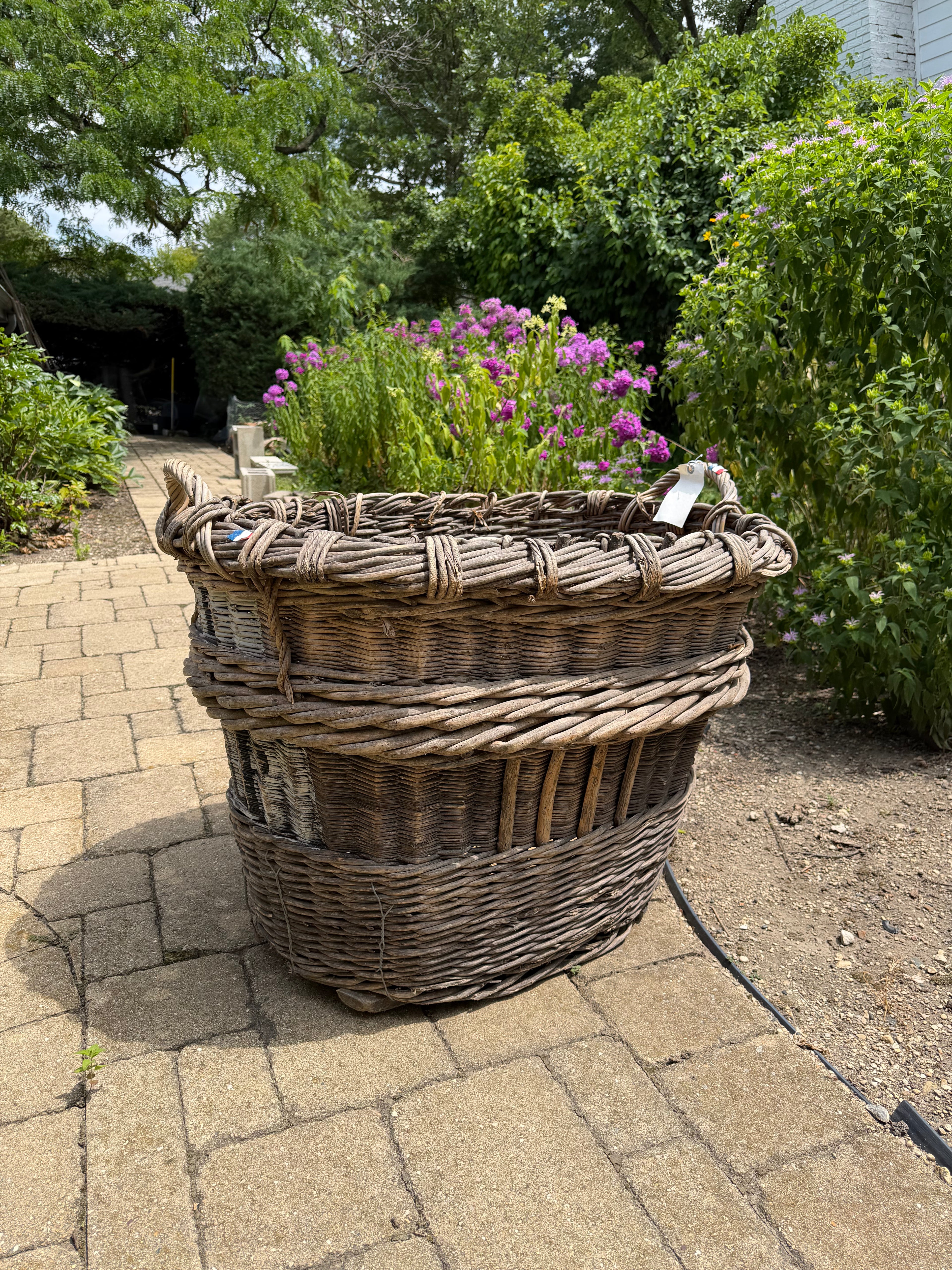 French Champagne Harvest Basket