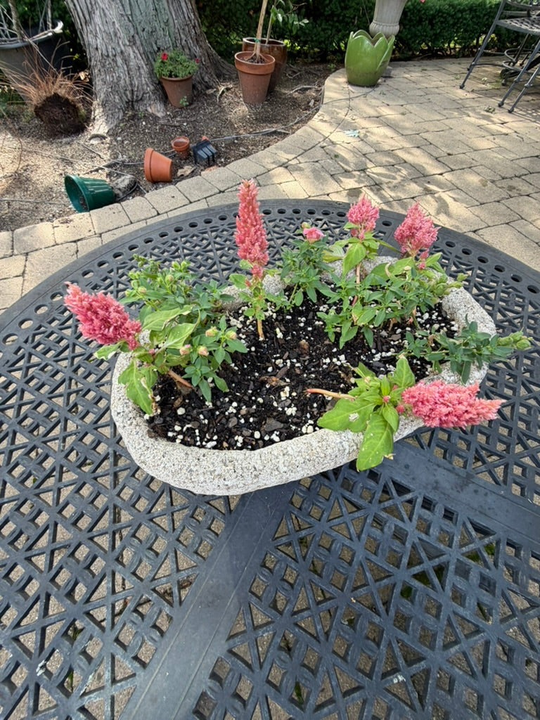 Antique Stone Garden Planter