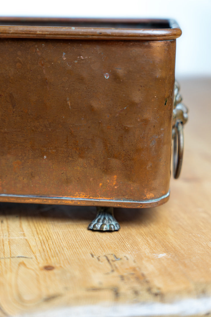 Vintage English Copper Jardinière with Lion Head Ring Handles | Circa 1950s