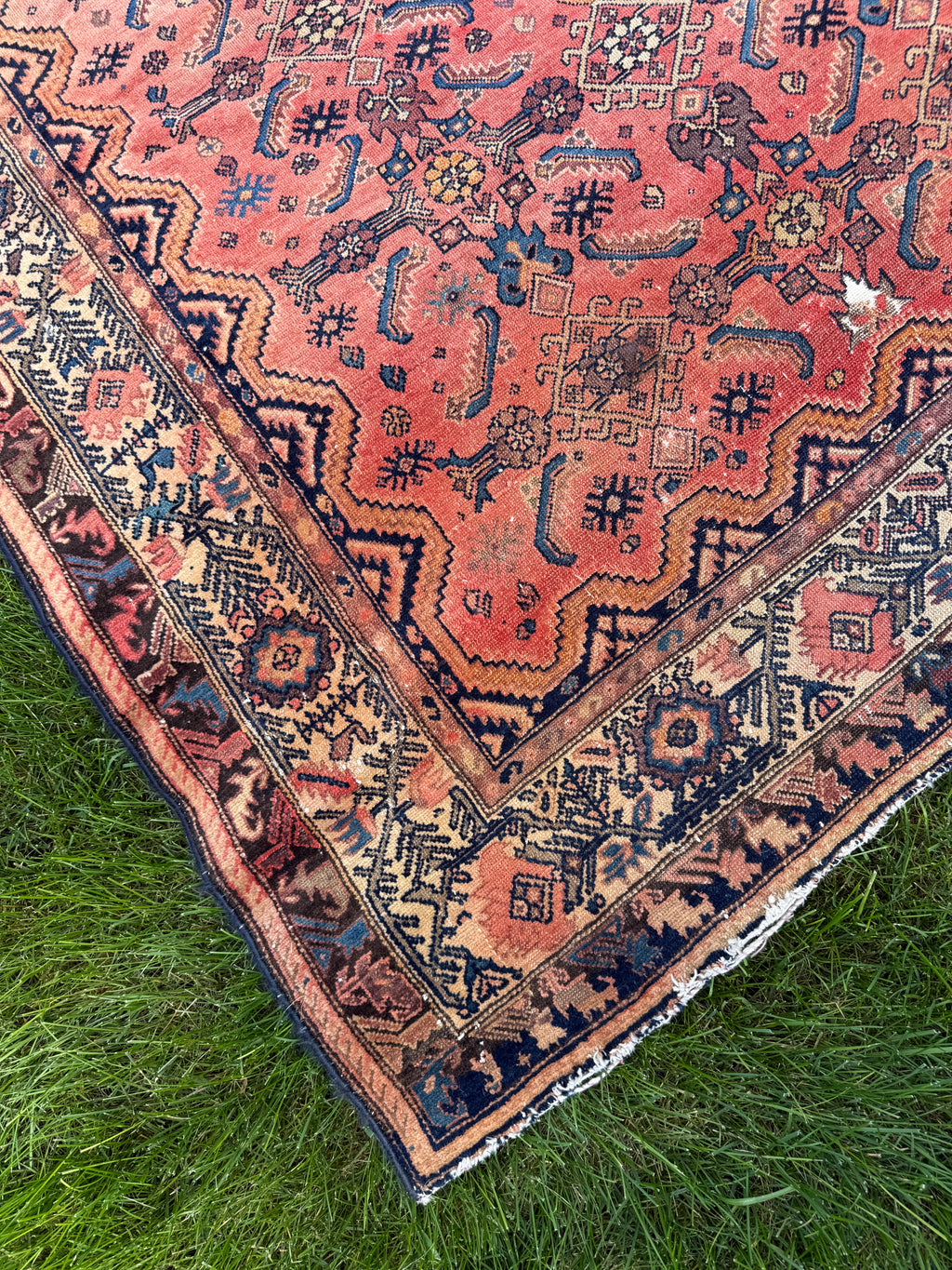 Close-up of hand-knotted wool pile showing Herati fish motif and ivory geometric border on vintage Persian Hamadan rug
