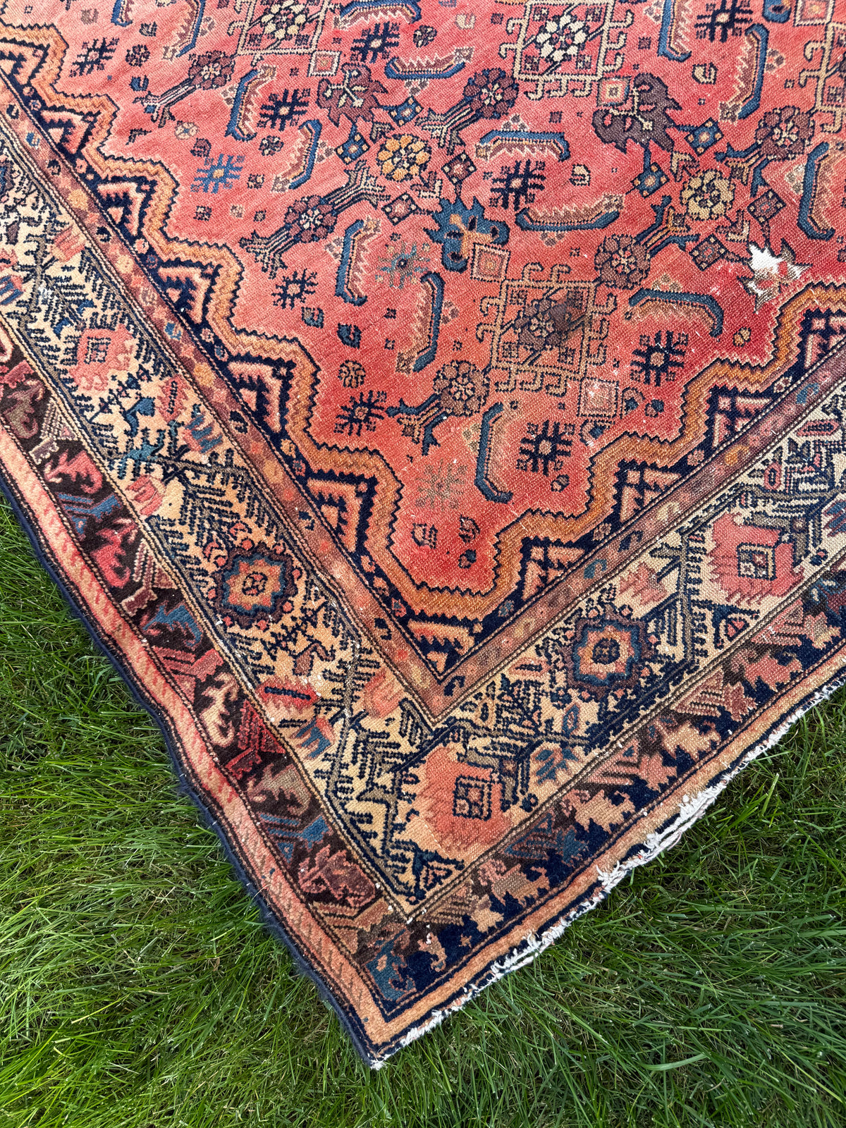 Close-up of hand-knotted wool pile showing Herati fish motif and ivory geometric border on vintage Persian Hamadan rug