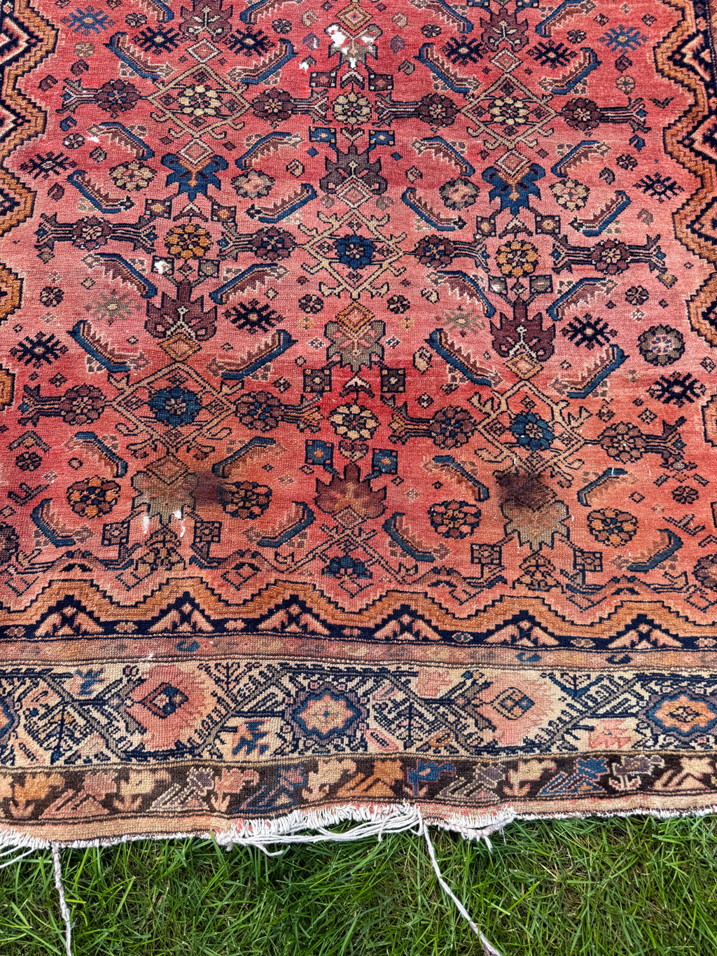 A square Persian-style wool rug with a coral pink field, intricate navy blue, brown, and beige geometric and floral motifs, and fringed edges, laid flat on green grass.