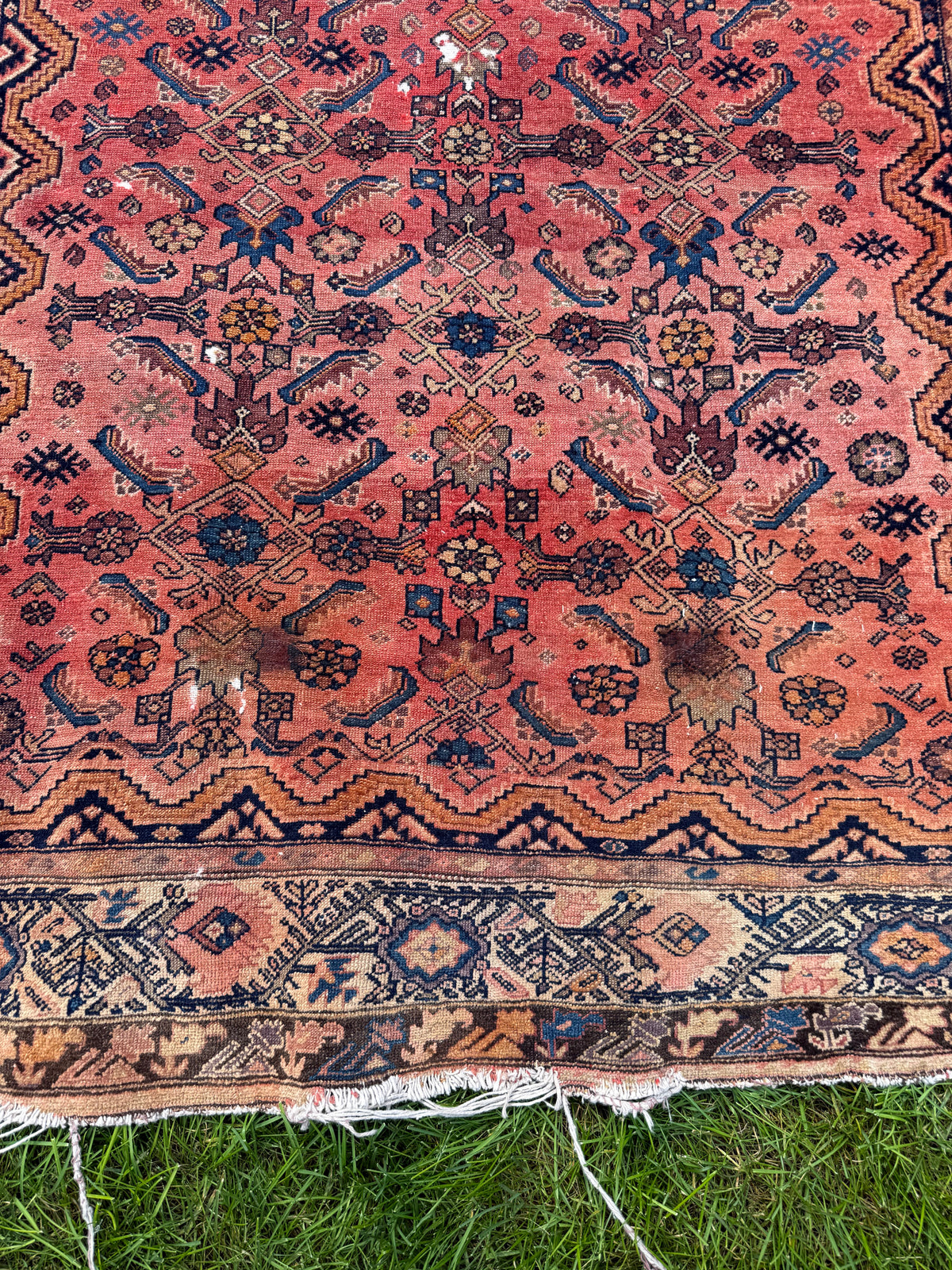 A square Persian-style wool rug with a coral pink field, intricate navy blue, brown, and beige geometric and floral motifs, and fringed edges, laid flat on green grass.