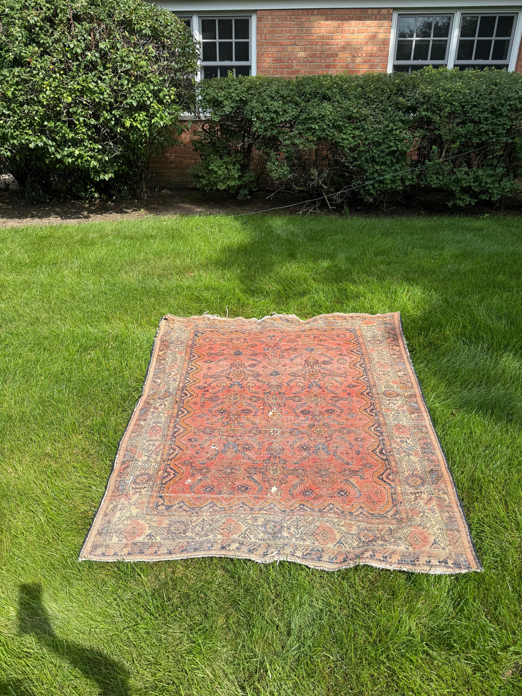 Vintage Persian Hamadan area rug full view, rust red field with navy and ivory borders, showing natural wear and vintage patina