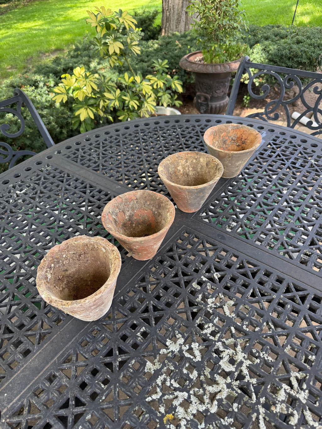 Close-up of small English pine resin pots side by side in garden setting