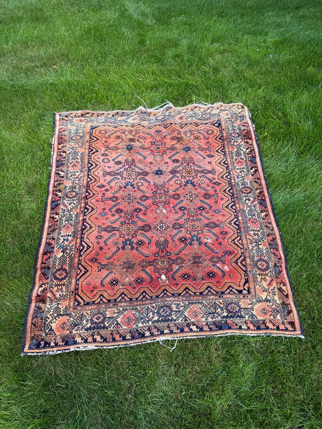 Vintage Persian Hamadan rug, 5x6, rust red Herati fish pattern with navy zigzag border, laid flat on grass